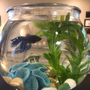 Meet your Posher, Beth